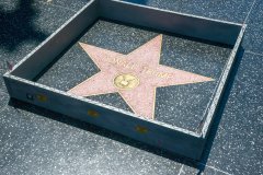 Hollywood sightseeers on the famous walk of fame were confronted with an unusual edition to Trump's Famous Star. Someone had built a 6" tall grey concrete wall around it. Complete with "Keep out" signs and topped with razor wire. The unofficial addtion to the icon star appeared early Tuesday afternoon, to the amusement of onlookers. There was no word as to who created the humorous installation. However the miniture wall was adorned with "STOP MAKING STUPID PEOPLE FAMOUS" which is believed to be the work of LA Street artist Plastic Jesus.